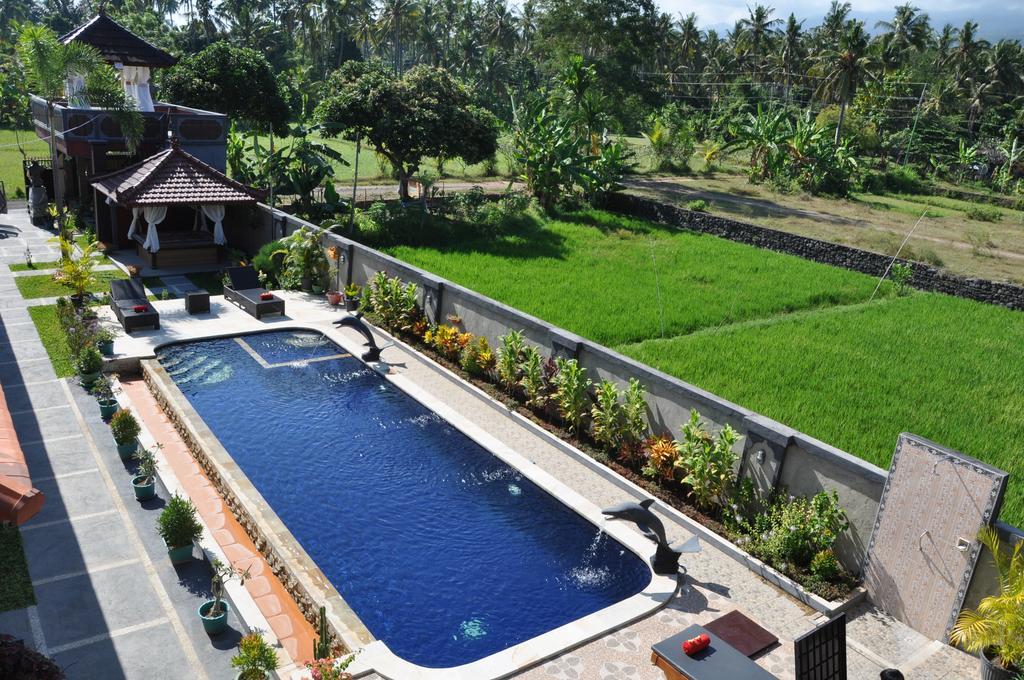 Summer Guesthouse Lovina 外观 照片
