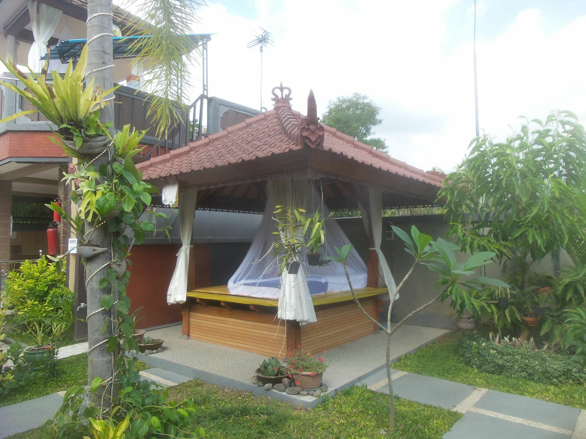 Summer Guesthouse Lovina 外观 照片
