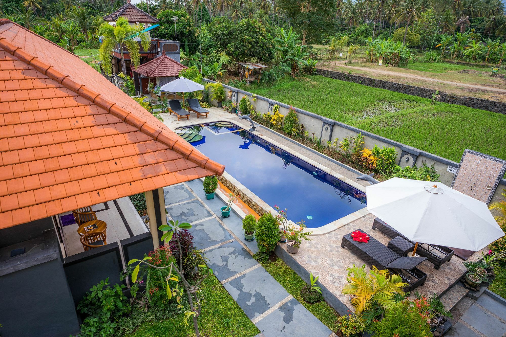 Summer Guesthouse Lovina 外观 照片